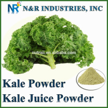 Powder Form Kale Powder 80 to 200mesh and Steam Sterilization and Supply other vegetable Powders